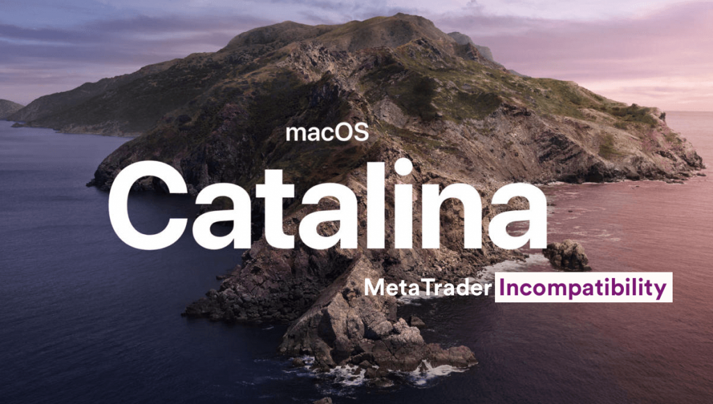 Mt5 For Mac Os Catalina